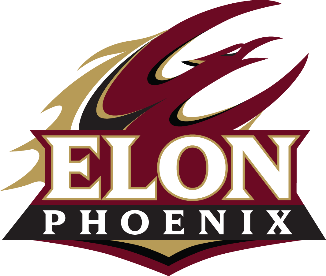 Elon Phoenix 2016-Pres Secondary Logo diy DTF decal sticker